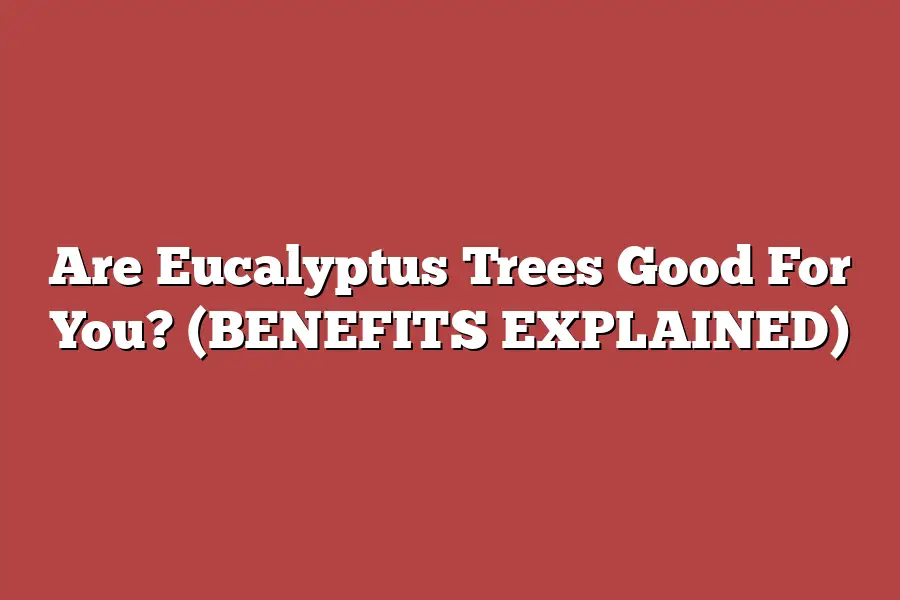 Are Eucalyptus Trees Good For You? (BENEFITS EXPLAINED) – Tree Pursuits