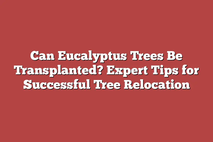 Can Eucalyptus Trees Be Transplanted? Expert Tips for Successful Tree ...