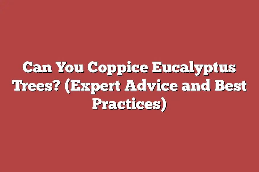 Can You Coppice Eucalyptus Trees? (Expert Advice and Best Practices)
