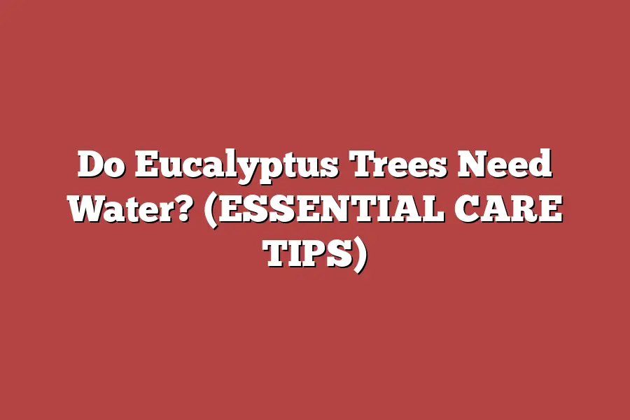 Do Eucalyptus Trees Need Water? (ESSENTIAL CARE TIPS)