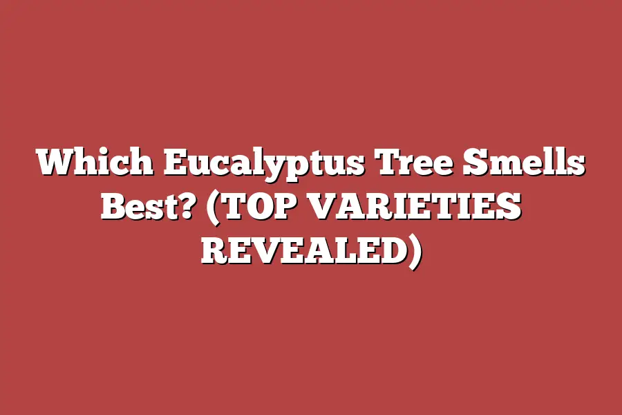 Which Eucalyptus Tree Smells Best? (TOP VARIETIES REVEALED)