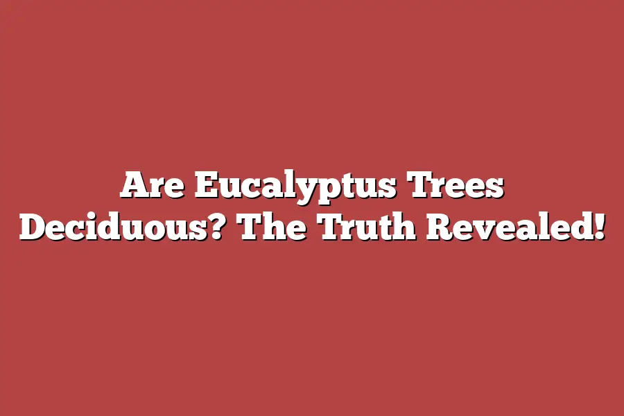 Are Eucalyptus Trees Deciduous? The Truth Revealed!