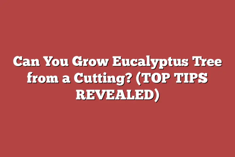 Can You Grow Eucalyptus Tree from a Cutting? (TOP TIPS REVEALED) Tree