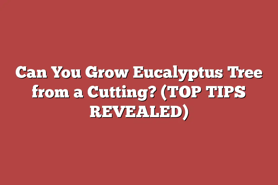 Can You Grow Eucalyptus Tree from a Cutting? (TOP TIPS REVEALED) – Tree ...