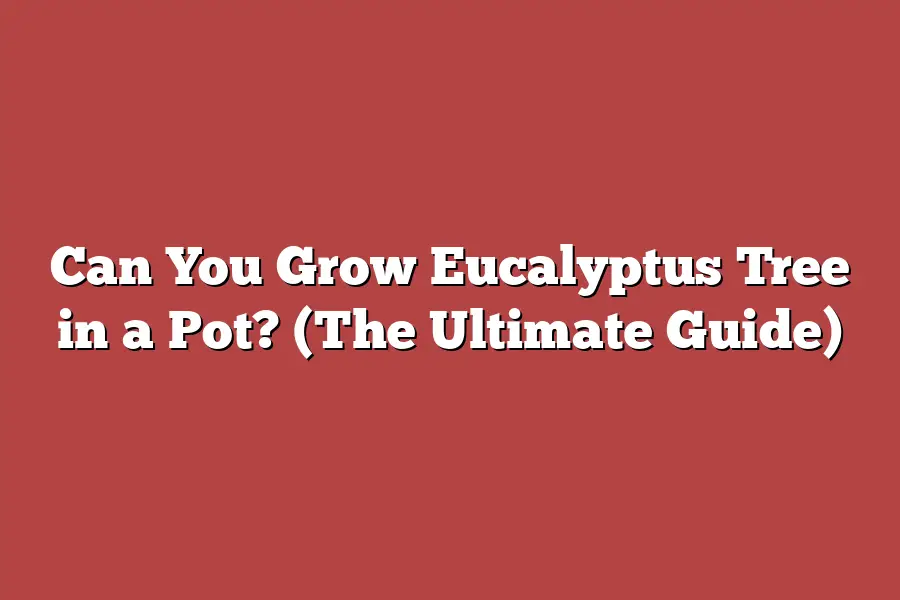Can You Grow Eucalyptus Tree in a Pot? (The Ultimate Guide)