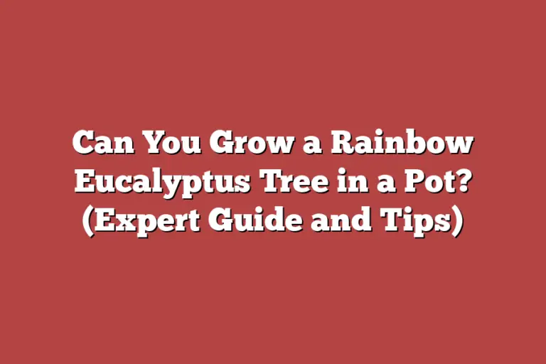 Can You Grow a Rainbow Eucalyptus Tree in a Pot? (Expert Guide and Tips