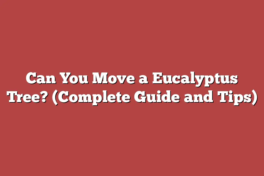 Can You Move a Eucalyptus Tree? (Complete Guide and Tips)