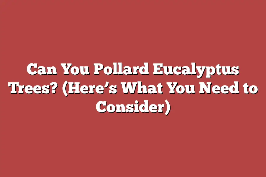 Can You Pollard Eucalyptus Trees? (Here’s What You Need to Consider)