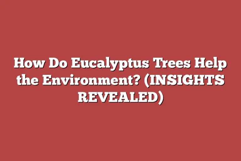 How Do Eucalyptus Trees Help the Environment? (INSIGHTS REVEALED