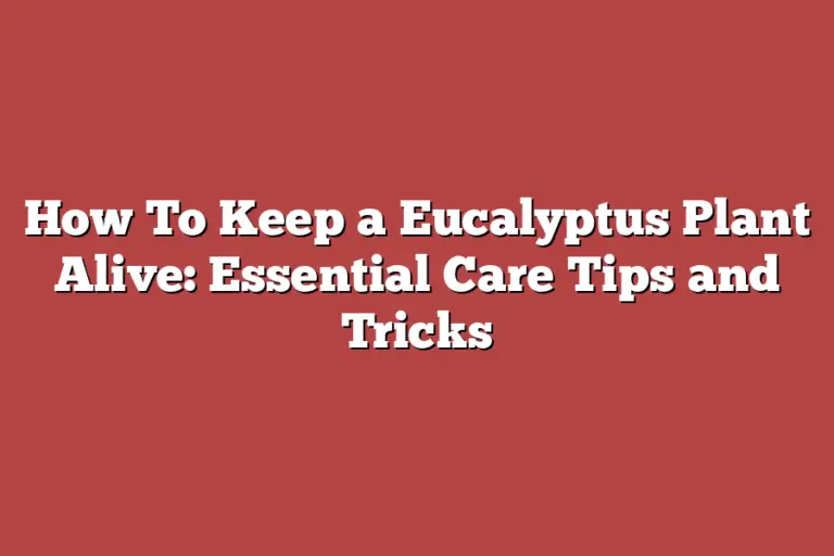 How To Keep a Eucalyptus Plant Alive Essential Care Tips and Tricks