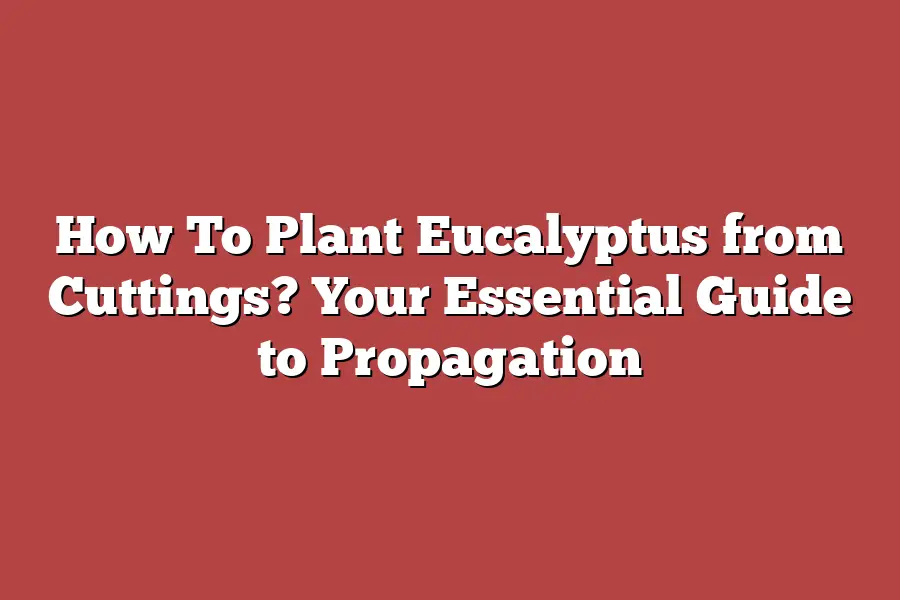 How To Plant Eucalyptus from Cuttings? Your Essential Guide to Propagation