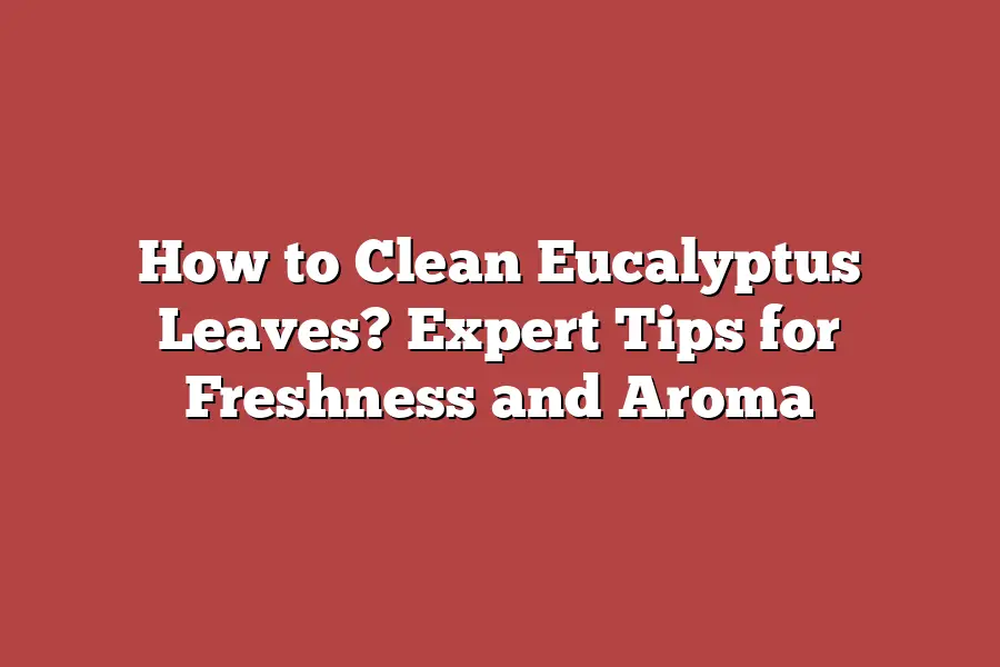 How to Clean Eucalyptus Leaves? Expert Tips for Freshness and Aroma