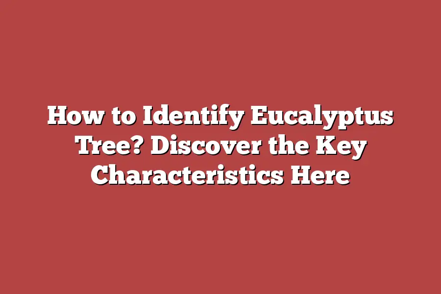 How to Identify Eucalyptus Tree? Discover the Key Characteristics Here