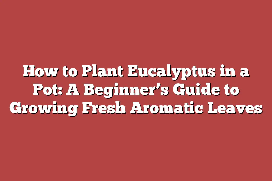 How to Plant Eucalyptus in a Pot: A Beginner’s Guide to Growing Fresh Aromatic Leaves