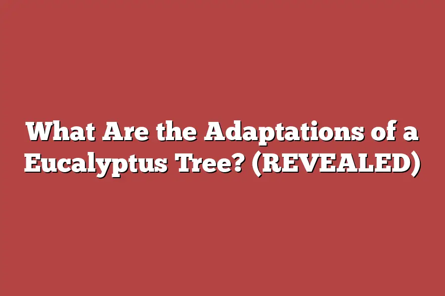 What Are the Adaptations of a Eucalyptus Tree? (REVEALED)