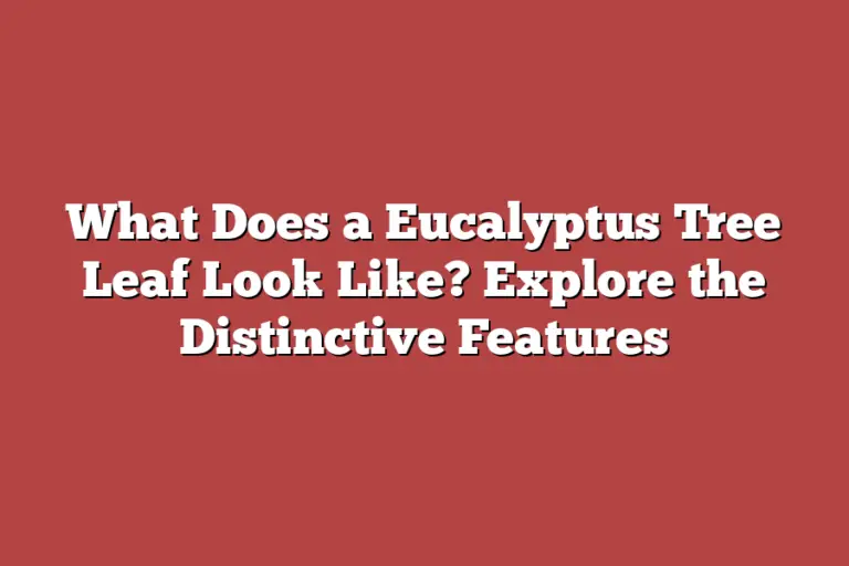 What Does a Eucalyptus Tree Leaf Look Like? Explore the Distinctive ...