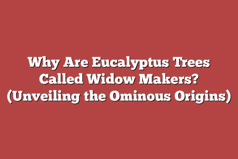 Why Are Eucalyptus Trees Called Widow Makers? (Unveiling the Ominous