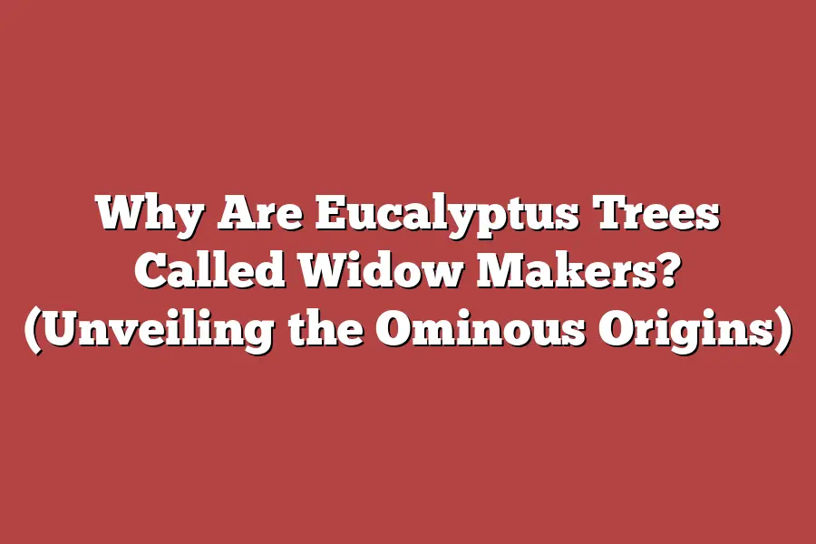 Why Are Eucalyptus Trees Called Widow Makers? (Unveiling the Ominous ...