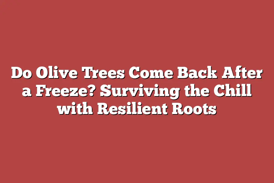 Do Olive Trees Come Back After a Freeze? Surviving the Chill with Resilient Roots