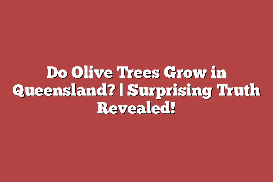 Do Olive Trees Grow in Queensland? | Surprising Truth Revealed!