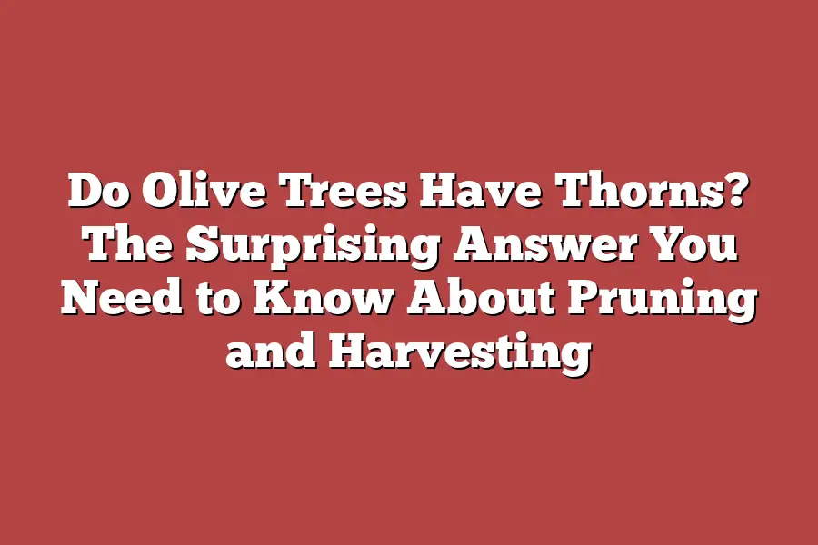 Do Olive Trees Have Thorns? The Surprising Answer You Need to Know About Pruning and Harvesting