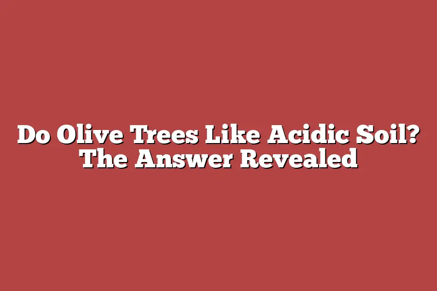 Do Olive Trees Like Acidic Soil? The Answer Revealed