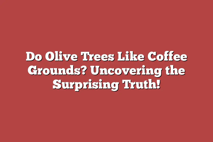 Do Olive Trees Like Coffee Grounds? Uncovering the Surprising Truth!