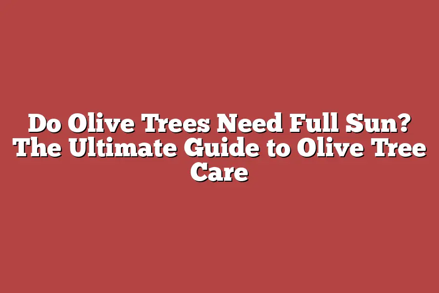 Do Olive Trees Need Full Sun? The Ultimate Guide to Olive Tree Care ...