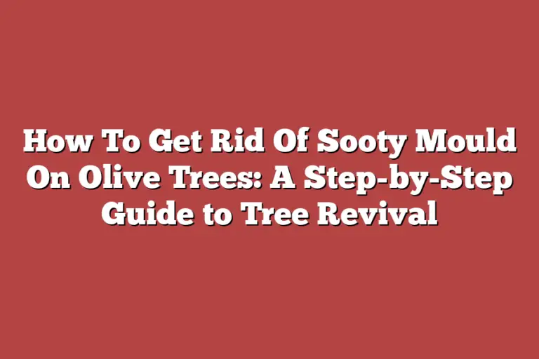 How To Get Rid Of Sooty Mould On Olive Trees: A Step-by-Step Guide to ...