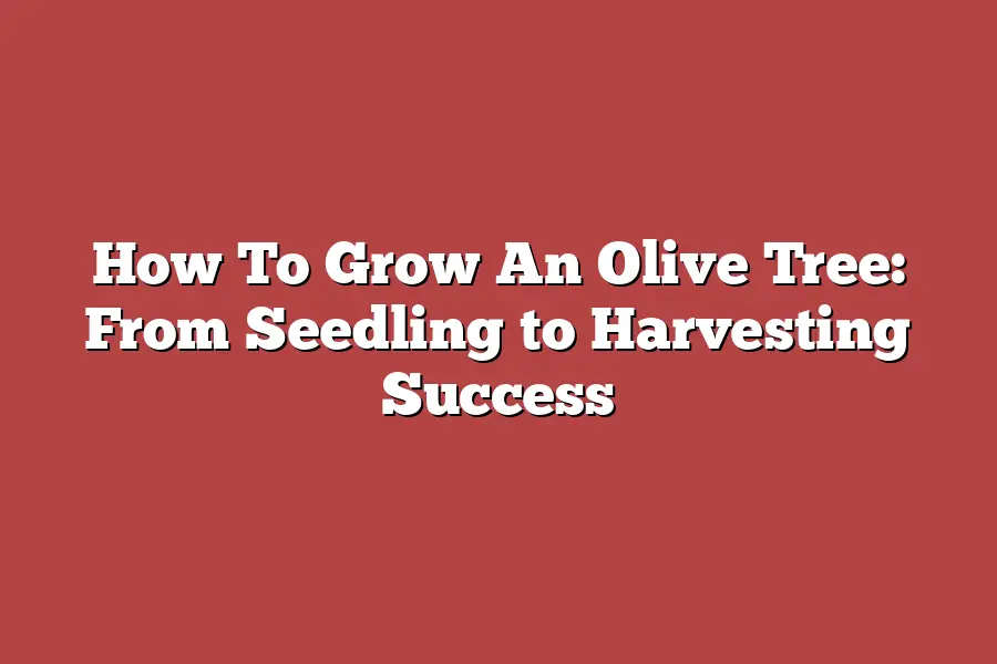 How To Grow An Olive Tree: From Seedling to Harvesting Success