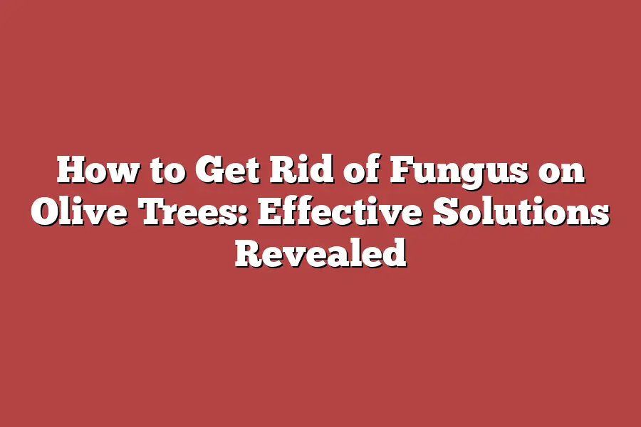 How to Get Rid of Fungus on Olive Trees: Effective Solutions Revealed