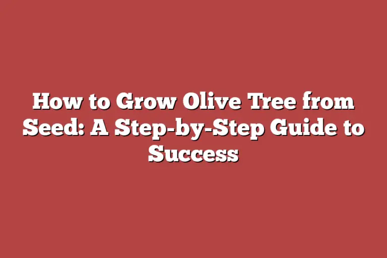 How to Grow Olive Tree from Seed A StepbyStep Guide to Success Tree Pursuits