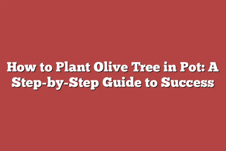 How to Plant Olive Tree in Pot: A Step-by-Step Guide to Success – Tree ...