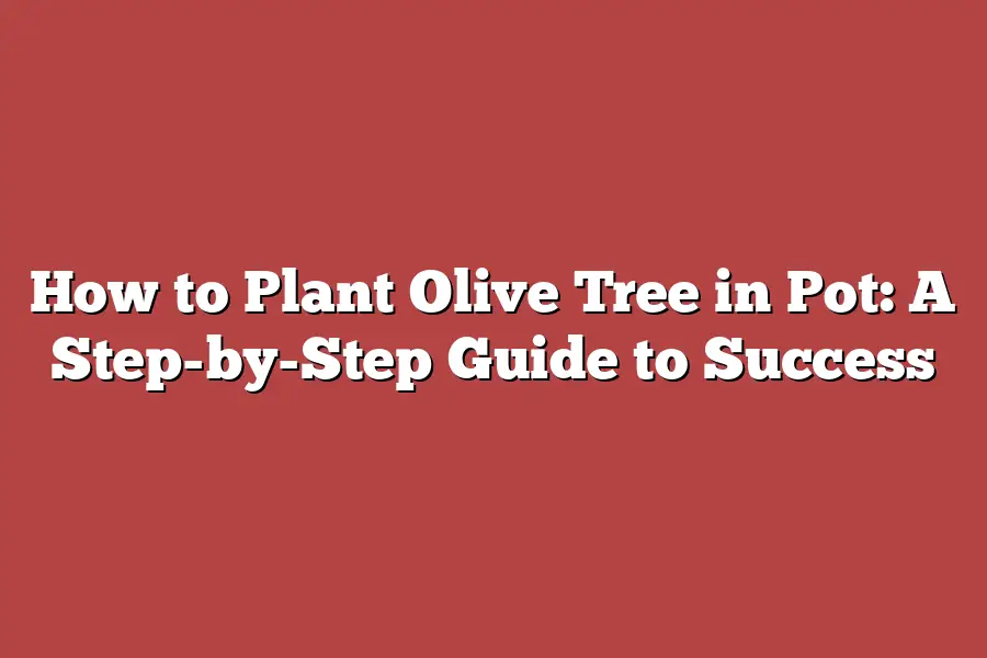 How to Plant Olive Tree in Pot: A Step-by-Step Guide to Success