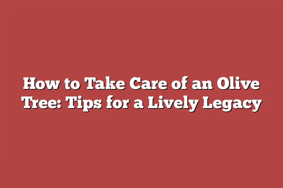 How to Take Care of an Olive Tree: Tips for a Lively Legacy