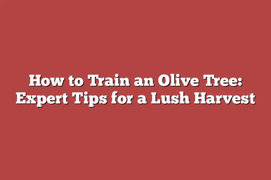 How to Train an Olive Tree: Expert Tips for a Lush Harvest