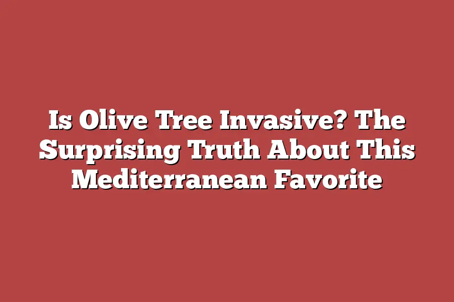Is Olive Tree Invasive? The Surprising Truth About This Mediterranean Favorite