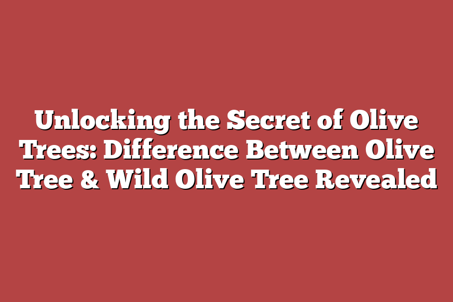 Unlocking the Secret of Olive Trees: Difference Between Olive Tree & Wild Olive Tree Revealed