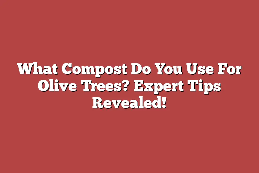 What Compost Do You Use For Olive Trees? Expert Tips Revealed! – Tree ...