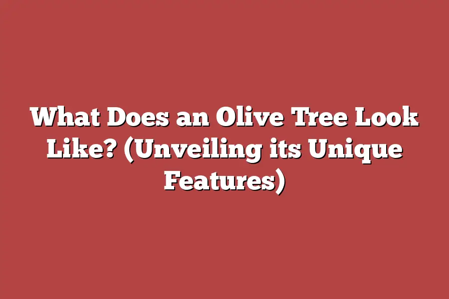 What Does an Olive Tree Look Like? (Unveiling its Unique Features)