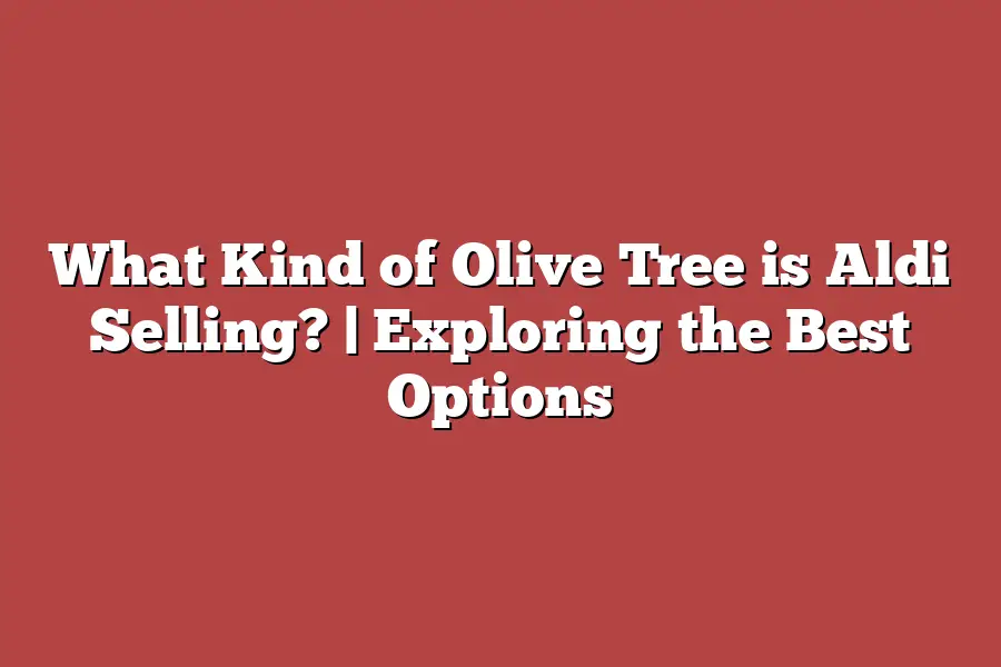 What Kind of Olive Tree is Aldi Selling? | Exploring the Best Options