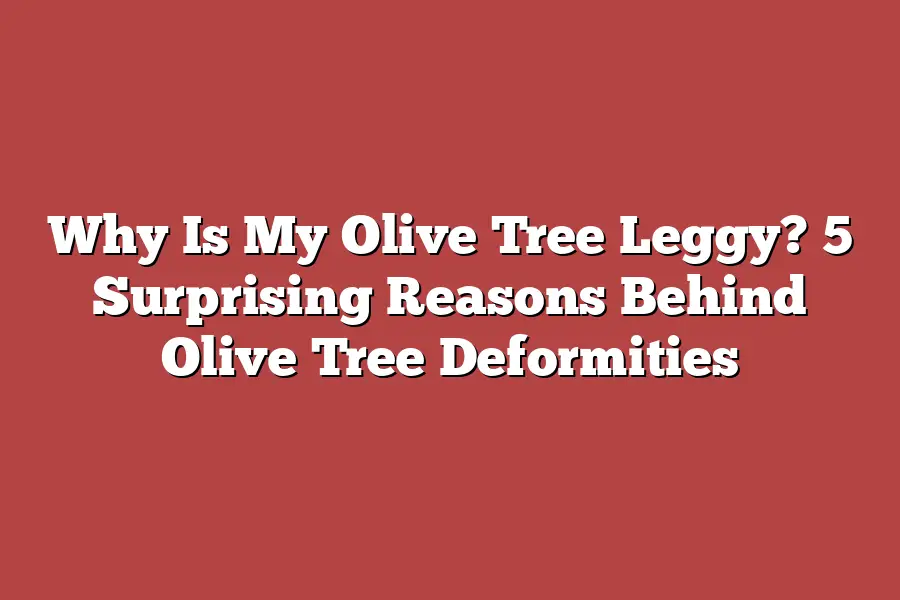 Why Is My Olive Tree Leggy? 5 Surprising Reasons Behind Olive Tree Deformities