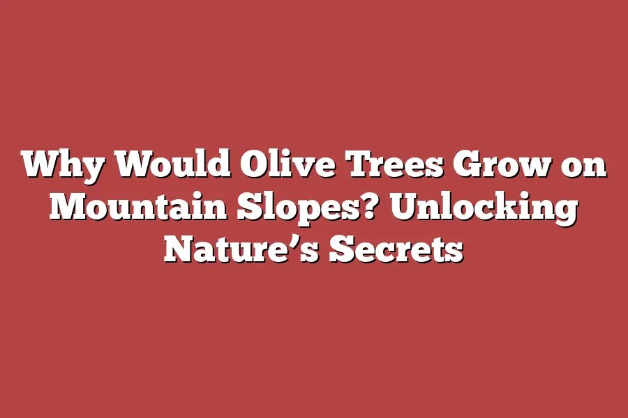 Why Would Olive Trees Grow on Mountain Slopes? Unlocking Nature’s Secrets