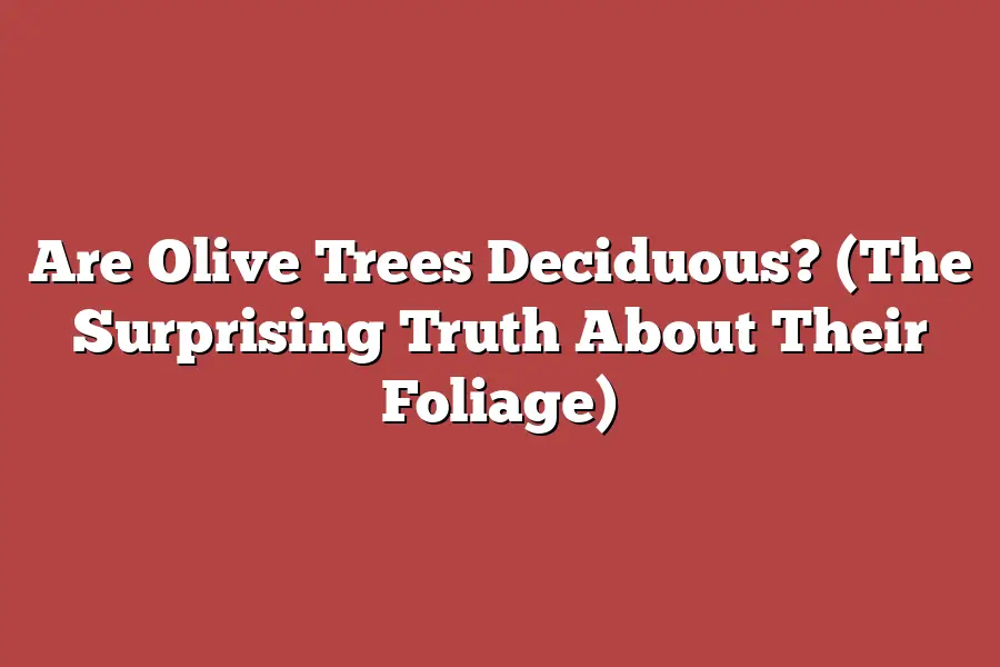 Are Olive Trees Deciduous? (The Surprising Truth About Their Foliage)