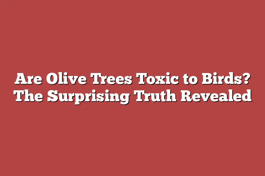 Are Olive Trees Toxic to Birds? The Surprising Truth Revealed