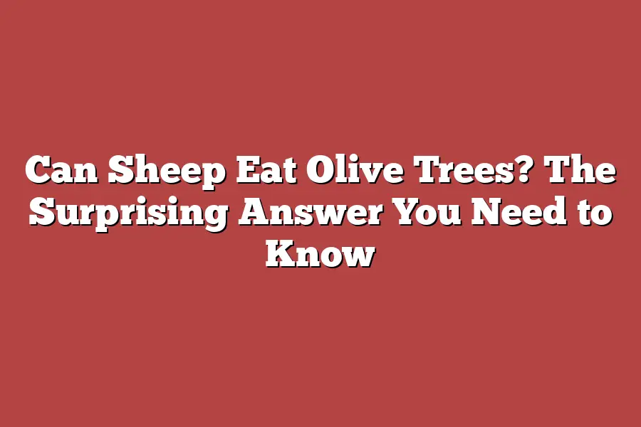 Can Sheep Eat Olive Trees? The Surprising Answer You Need to Know