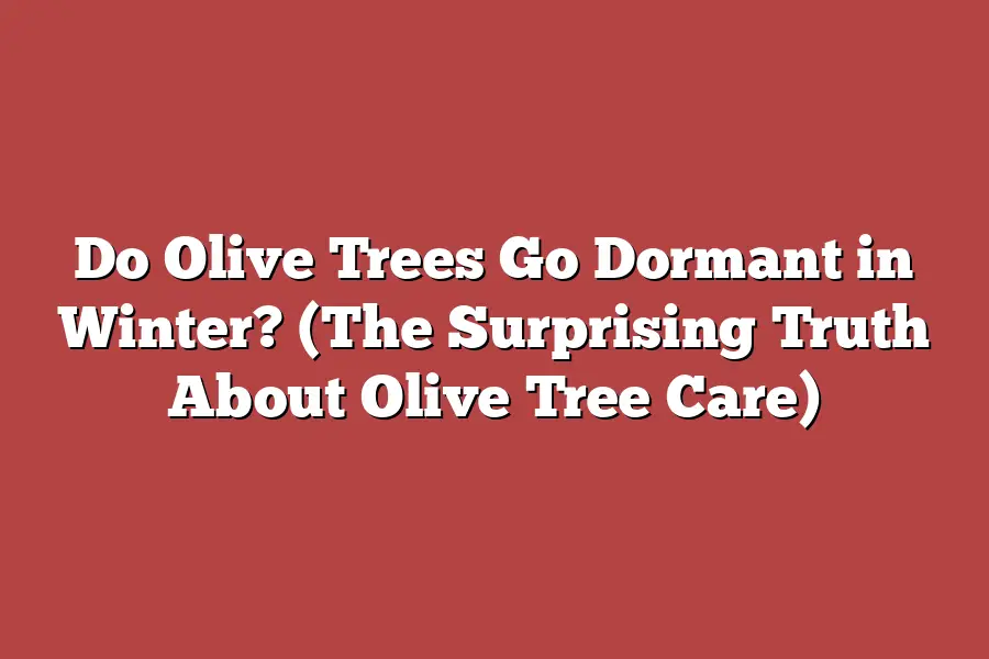 Do Olive Trees Go Dormant in Winter? (The Surprising Truth About Olive Tree Care)