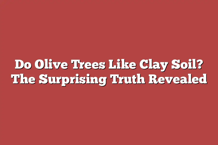 Do Olive Trees Like Clay Soil? The Surprising Truth Revealed