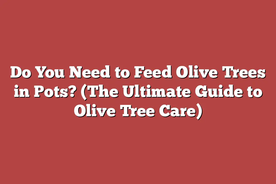 Do You Need to Feed Olive Trees in Pots? (The Ultimate Guide to Olive Tree Care)