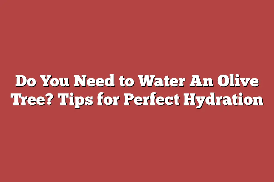 Do You Need to Water An Olive Tree? Tips for Perfect Hydration – Tree ...